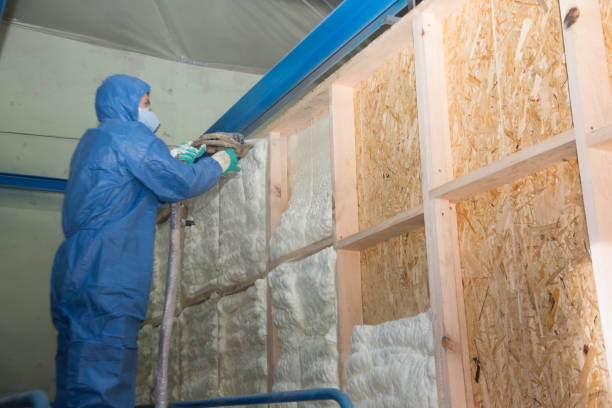 Best Blown-in Insulation  in Farmersville, CA